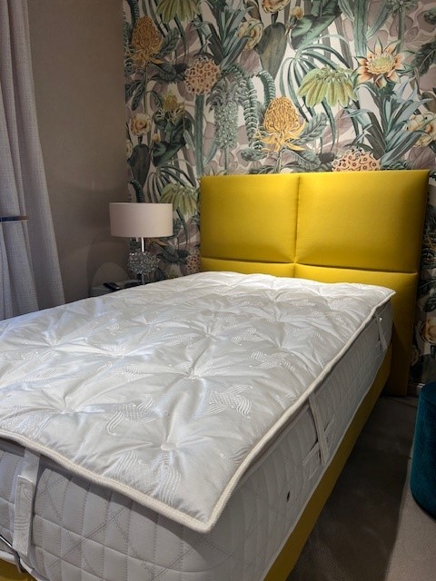 Mehr über den Artikel erfahren Topper